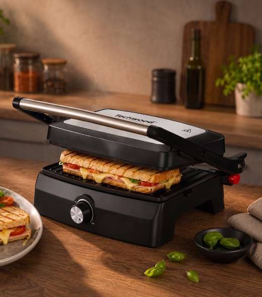 Panini Grill & Barbecue